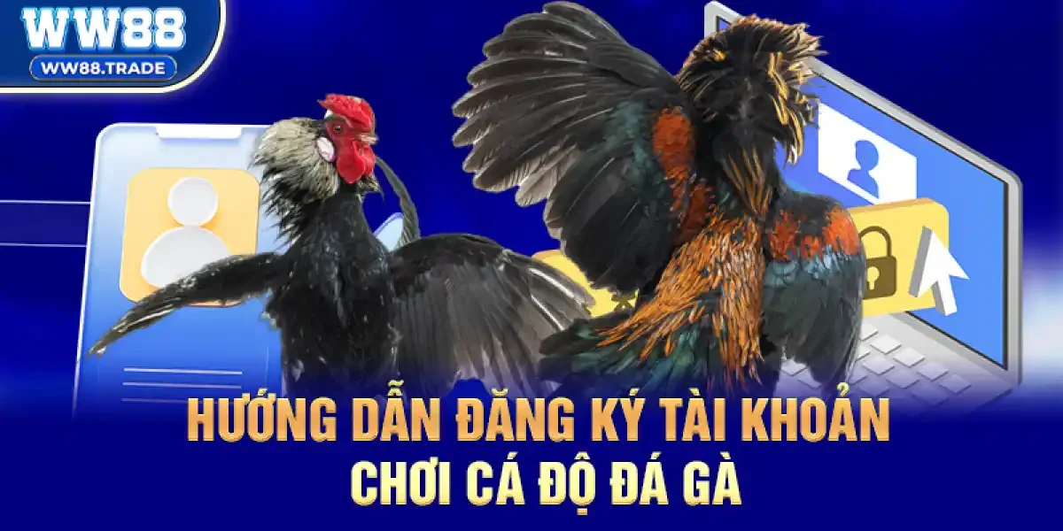 Cá Độ Đá Gà Tết Nguyên Đán – Lì Xì May Mắn, Phát Lộc Rực Rỡ