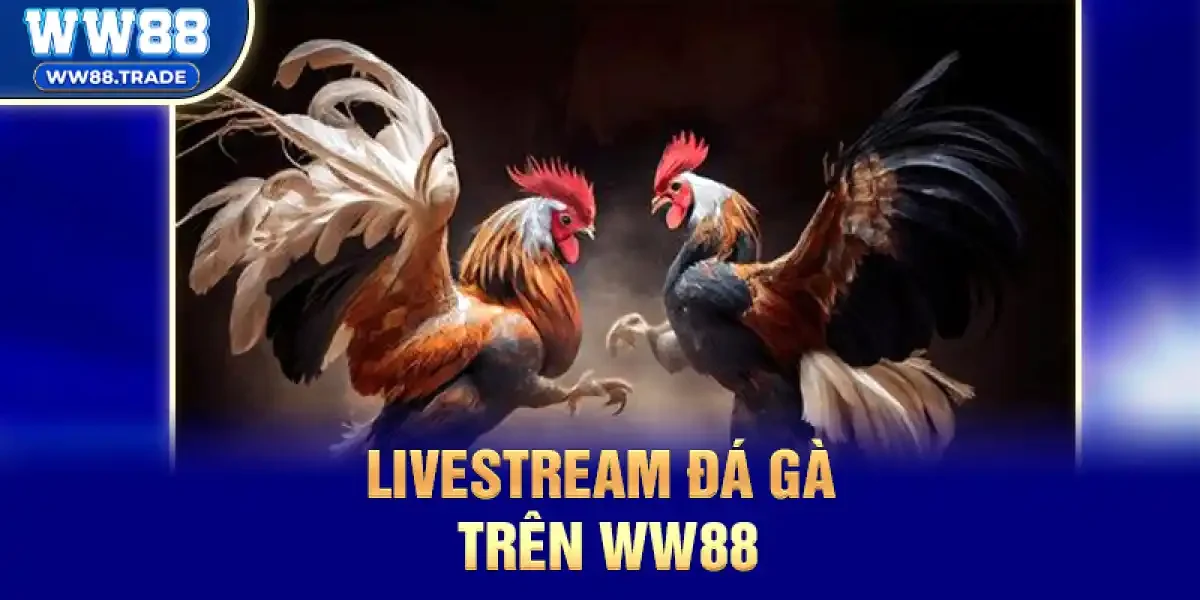 Livestream Đá Gà Trên ww88 – Trải Nghiệm Đỉnh Cao